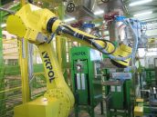 Automatyczna linia workowania i paletyzacji skrobi ziemniaczanej.